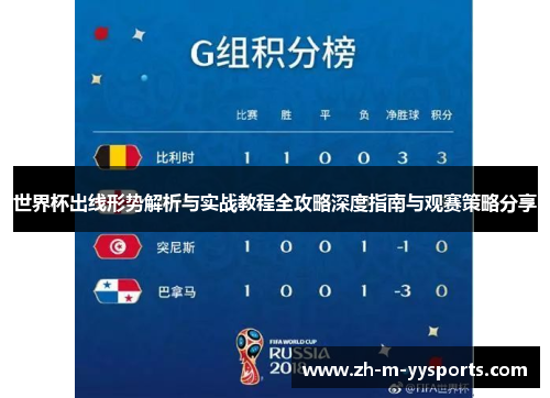 世界杯出线形势解析与实战教程全攻略深度指南与观赛策略分享 世界杯出线形势解析与实战教程全攻略深度指南与观赛策略分享